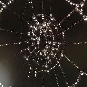 Meet your Posher, Neija